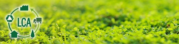 ImmagineLogo_LCA_pitture_decorative_da_interno